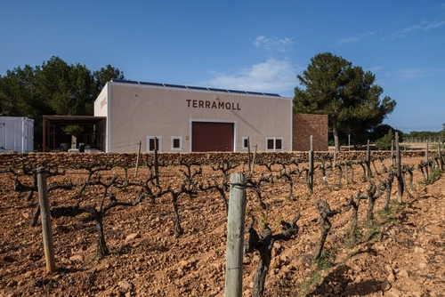 La cultura del vino a Formentera